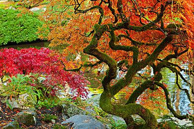 三太子上电视 《怪物猎人》系列将参加日本电视台综艺脱口秀节目